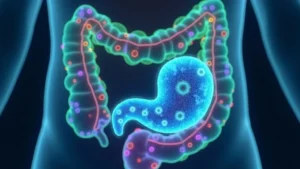 Barátságos bélbaktériumok illusztráció